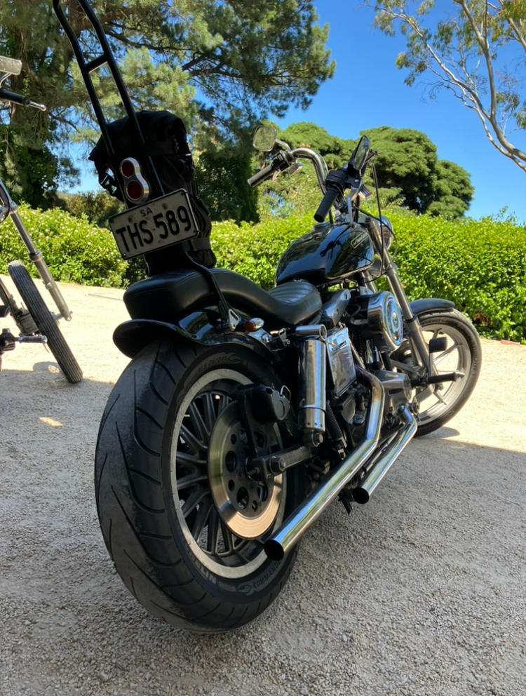 BNM Bolt On Sissy Bar For Rogue Fender - 1958-1984 Harley-Davidson Panhead/Shovelhead - Customer Photo From Matthew richardson