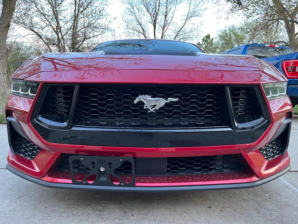 The Platypus License Plate Mount - Customer Photo From Spencer