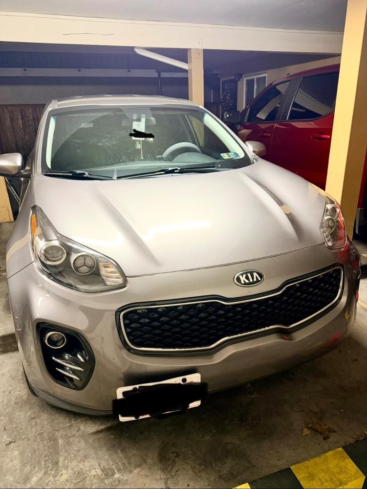 The Platypus License Plate Mount for Kia Sportage 4th gen QL 2017