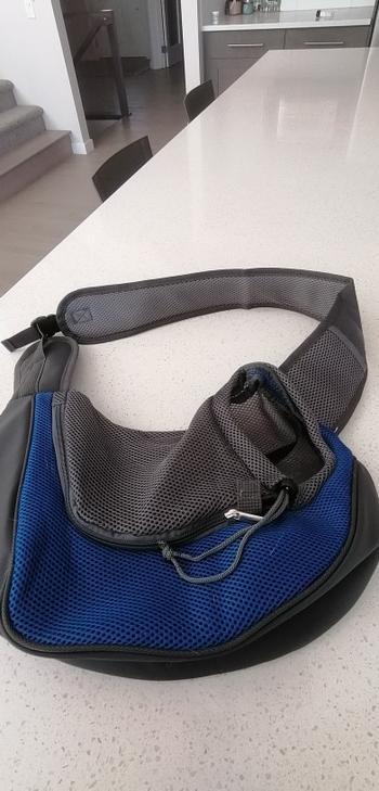 Splentify Cat, Dog Carrier and Travel Backpack Review