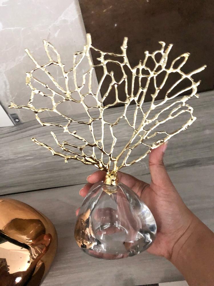  - Customer Photo From S***e