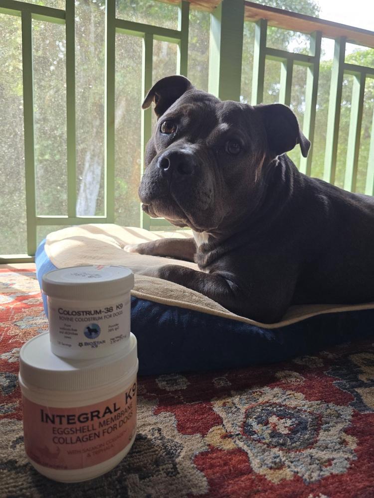 Colostrum-38 K9 - Customer Photo From Anonymous