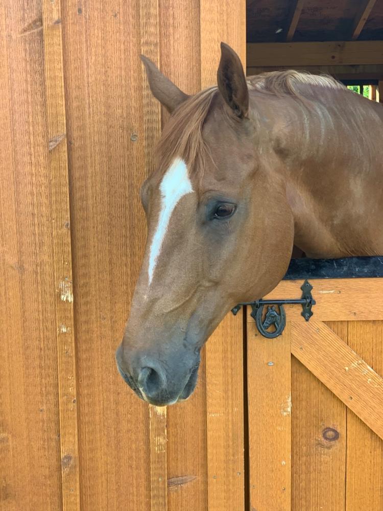 Thera Calm EQ - Customer Photo From Anonymous