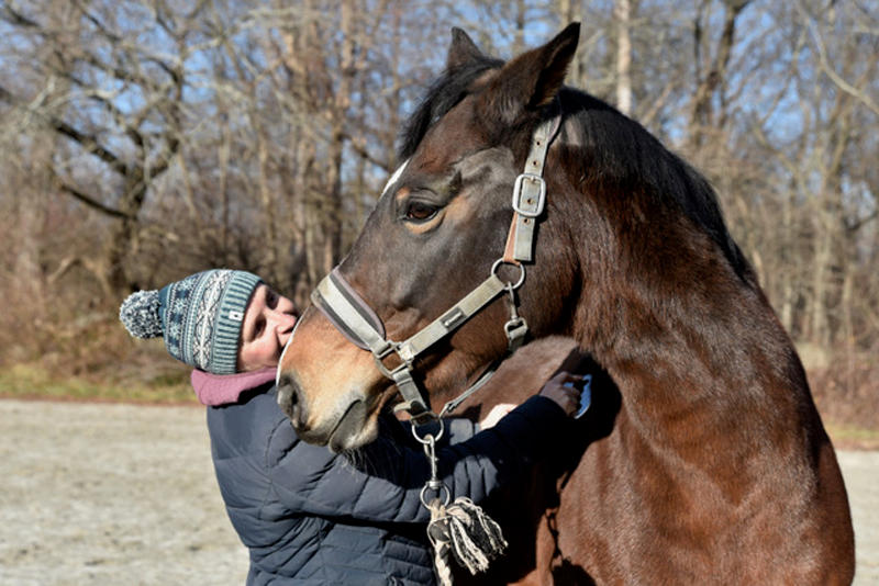 Spectrum EQ - Customer Photo From Tess Strumwasser