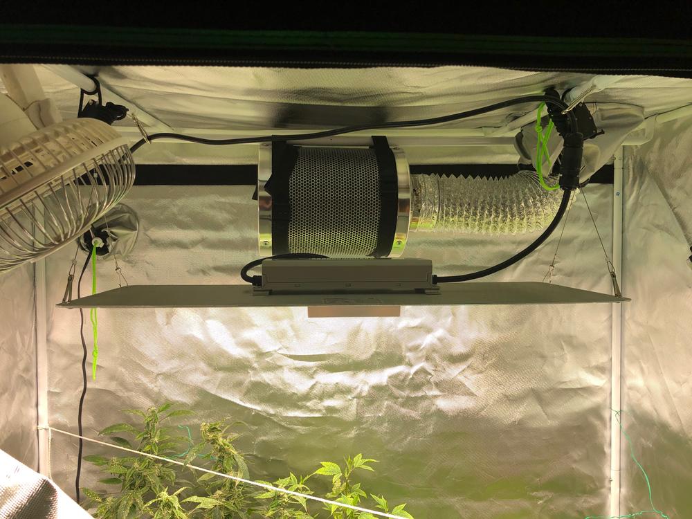 Spider farmer SF2000 Dimmable full spectrum led grow light Spider