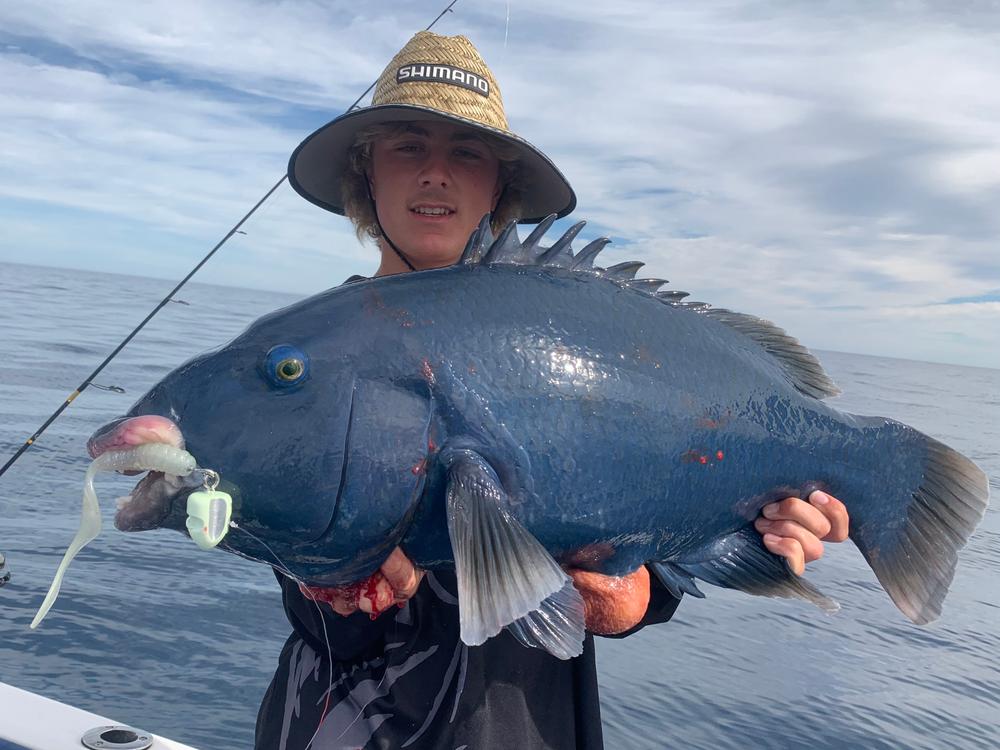 Catch Black Label Livies Curly Tails - Customer Photo From GT Fishing Charters