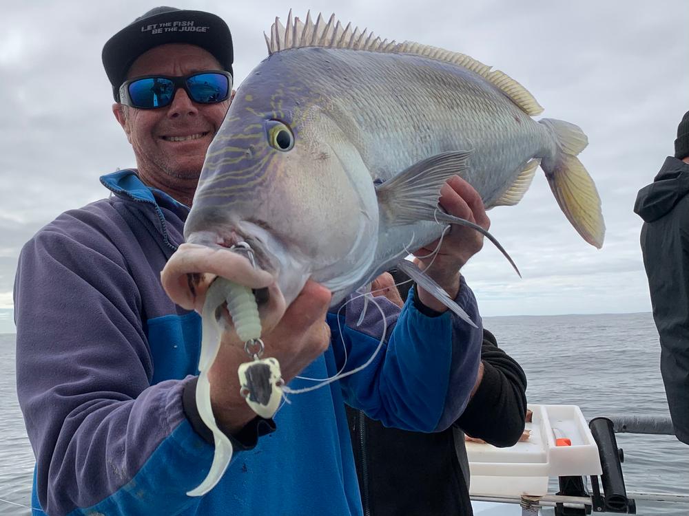 Catch Black Label Livies Curly Tails - Customer Photo From GT Fishing Charters