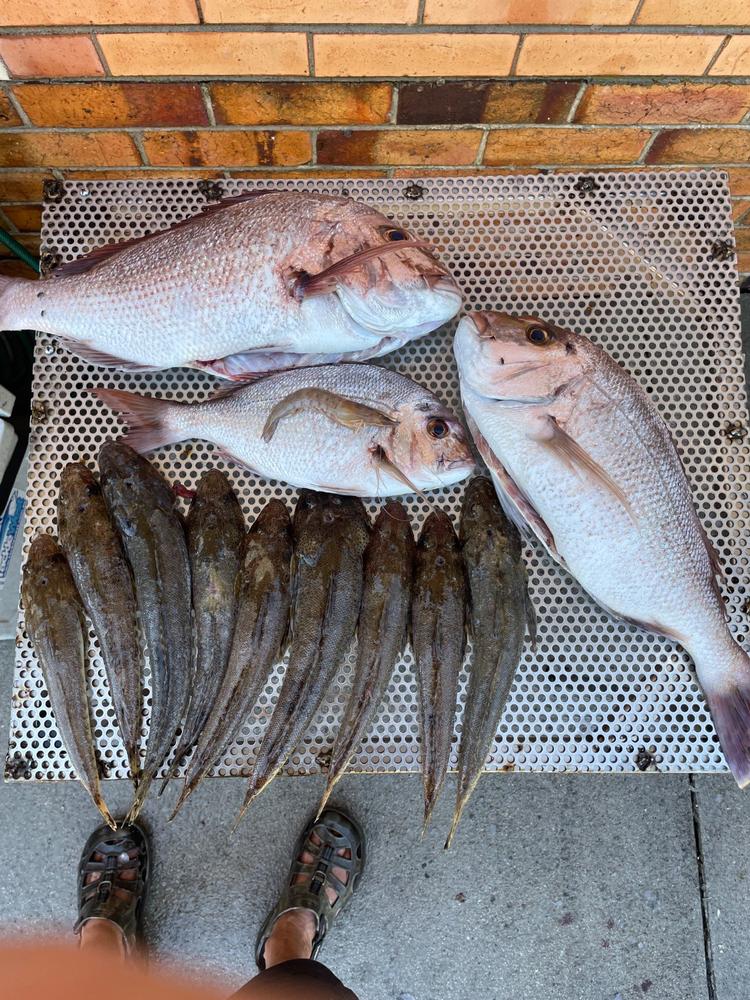 Catch Black Label Livies Curly Tails - 6" (4 Pack), TomTom - Customer Photo From David Hargreaves