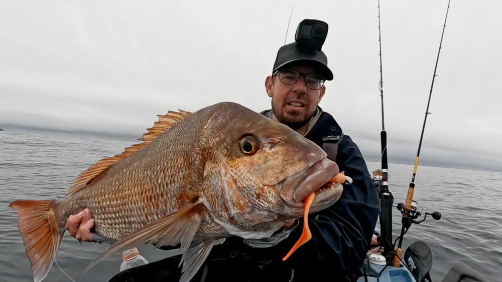 Catch Black Label Livies Curly Tails - Customer Photo From Al | FishingMad