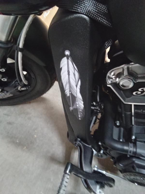 Feather Accent Decals - 8 Inches long - Customer Photo From Gregg Hughes