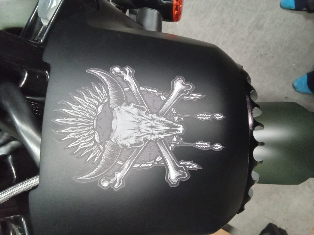 Dreamcatcher DC420-BW Anywhere Decal - Customer Photo From Gregg Hughes