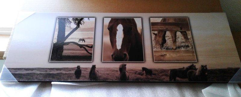 Equestrian Horse Letter Art - Customer Photo From Deborah R.