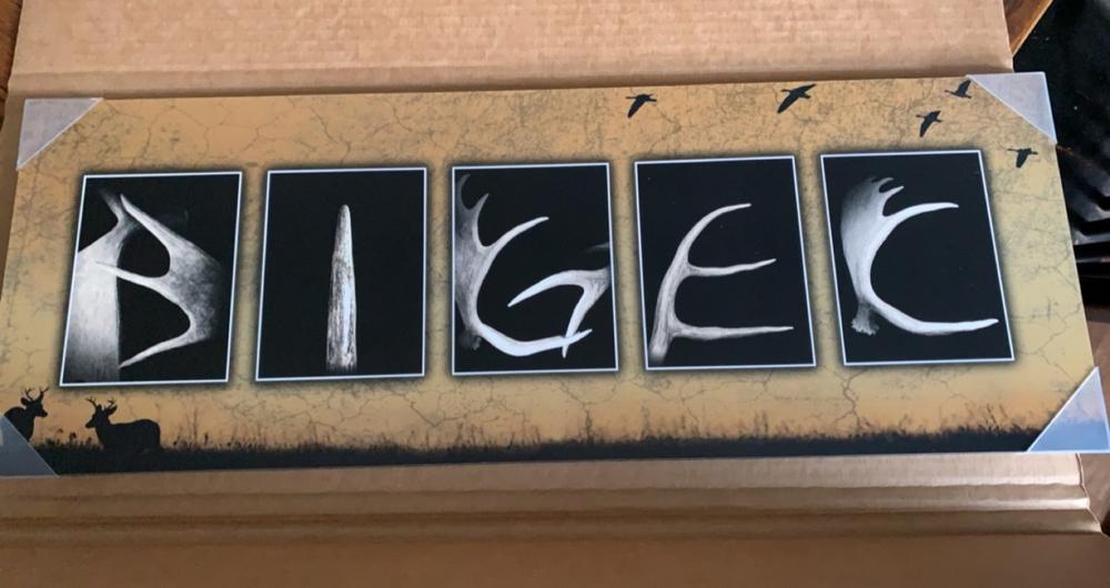 Antler Letters Name Print - Customer Photo From Eva Bigec