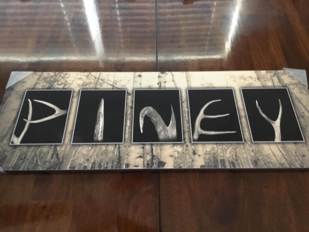 Antler Letters Name Print - Customer Photo From Nancy Ventresca