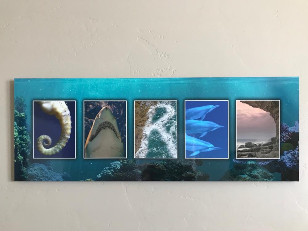 Marine Life Name Art Print - Customer Photo From Tonya Wilson