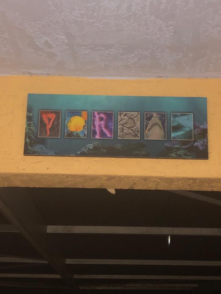 Marine Life Name Art Print - Customer Photo From Raquel Santos