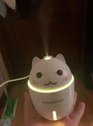 Hansel & Gretel Cute Cat Mini 3 in 1 Humidifier & Electric Scent Distributor Review