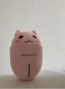 Hansel & Gretel Cute Cat Mini 3 in 1 Humidifier & Electric Scent Distributor Review