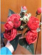 Hansel & Gretel Red Artificial Flowers Peony Bouquet Review
