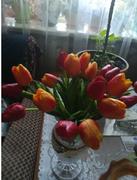 Hansel & Gretel Orange Artificial Flowers Tulip Bouquet Review