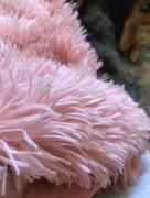Hansel & Gretel Long Plush Fabric Pink Blanket Review