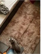 Hansel & Gretel Cream Living Room Carpet Review