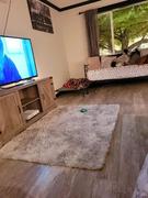 Hansel & Gretel Graystone Livingroom Carpet Review
