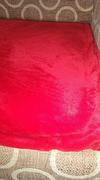 Hansel & Gretel Polyester Red Blanket Review