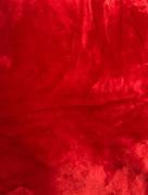 Hansel & Gretel Microfiber Fabric Red Blanket Review