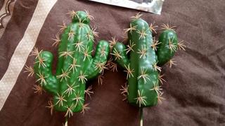 Hansel & Gretel Green Artificial Succulent Cactus Plant Review