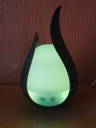 Hansel & Gretel Wooden LED Humidifier & Electric Scent Distributor Review