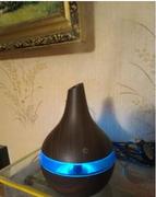 Hansel & Gretel Wooden Ultrasonic Humidifier and Scent Distributor Review