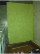 Hansel & Gretel Green Bathroom Area Carpet Review