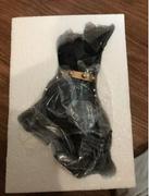 Hansel & Gretel Decorative Ornamental Black Big Dog Figurine Accessories Review