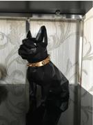 Hansel & Gretel Decorative Ornamental Black Big Dog Figurine Accessories Review