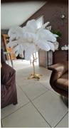 Hansel & Gretel Nordic Ostrich Feather Standing Floor Lamp Review