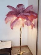 Hansel & Gretel Nordic Ostrich Feather Standing Floor Lamp Review