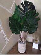 Hansel & Gretel Green Artificial Monstera Leaves Review