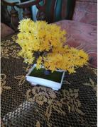 Hansel & Gretel Yellow Artificial Bonsai Plant Review
