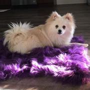 Hansel & Gretel Artificial Sheepskin Purple Fur Plain Bedroom and Living Area Rug Review