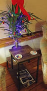 Hansel & Gretel Modern Wooden End Table Review