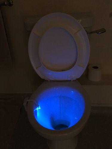 Glow In The Dark Toilet Seat