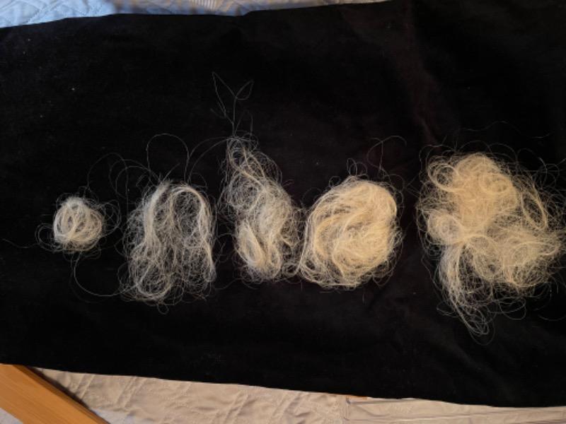 Anti-Hair Loss Shampoo - Customer Photo From Ginny Humphrey