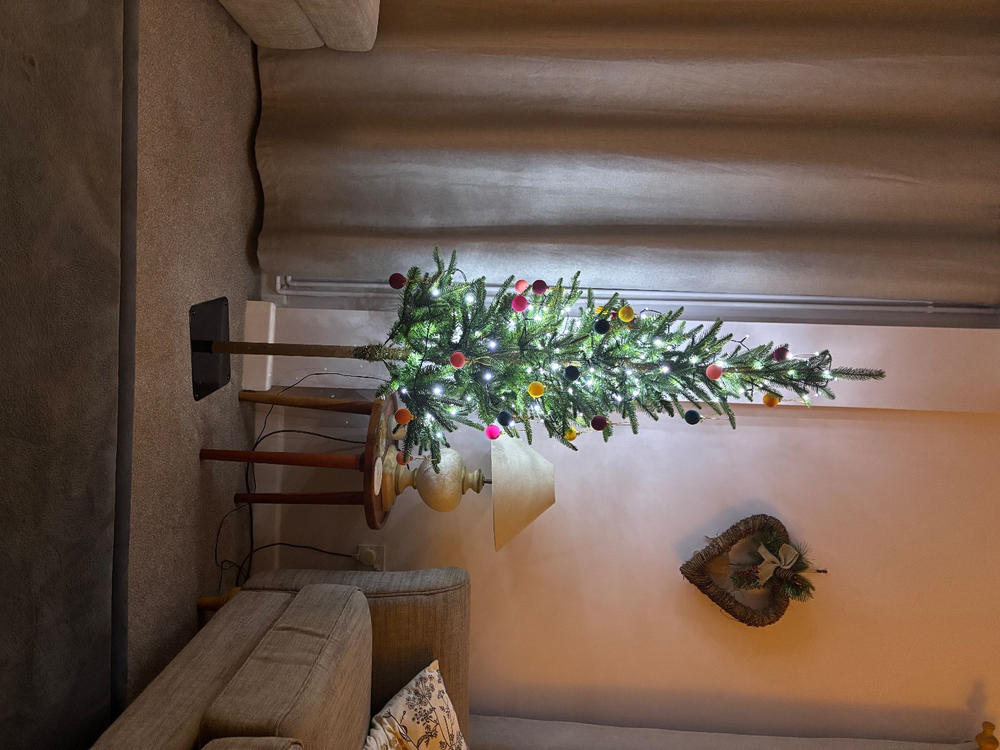 Everlands Alpbach Fir 6ft (180cm) - Customer Photo From Tracey White