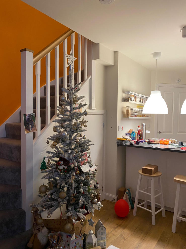 Everlands Alpbach Fir Snowy 6ft (180cm) - Customer Photo From Lynn Chen