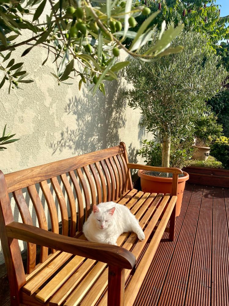 Alexander Rose Redcliffe Broadfield Bench 5ft - Customer Photo From Aoife Geraci