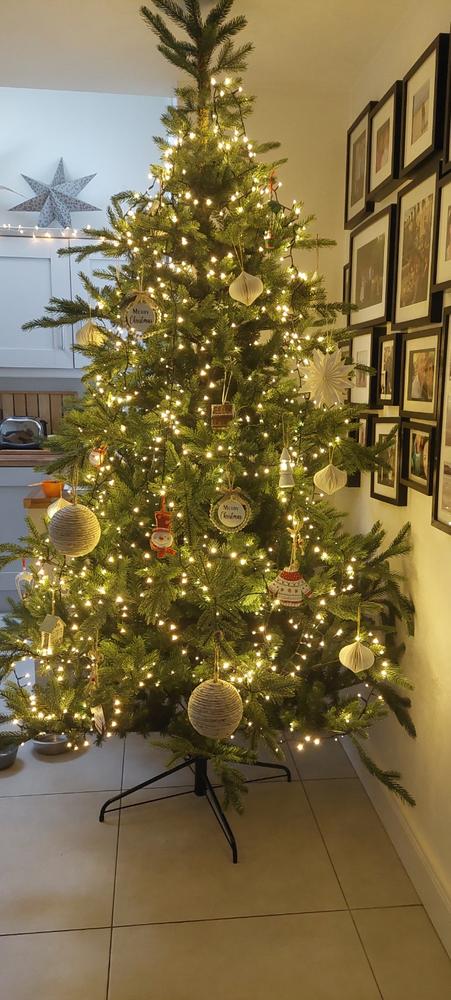 Festive Compact LED Lights Warm White 1000 - Customer Photo From Grace Carville