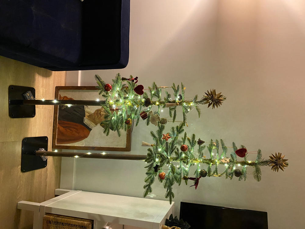 Everlands Alpine Fir Duo of Trees (4ft, 5ft) - Customer Photo From Penny Lamb