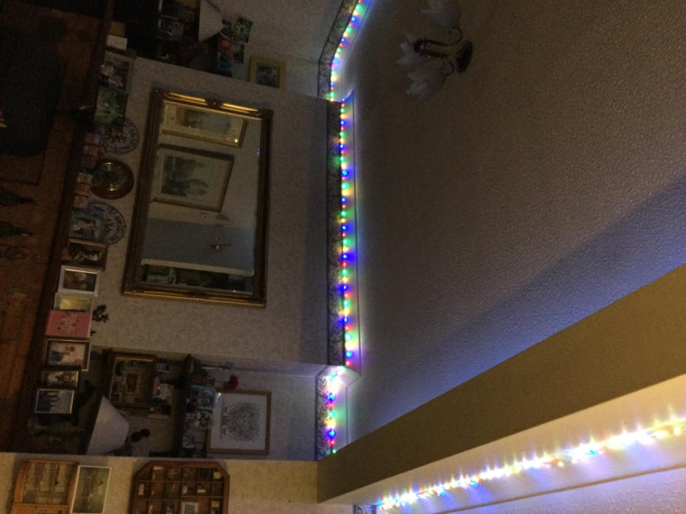 Kaemingk Lumineo Micro LED Multicolour String Twinkle (240 Lights) - Customer Photo From Susan Ellis