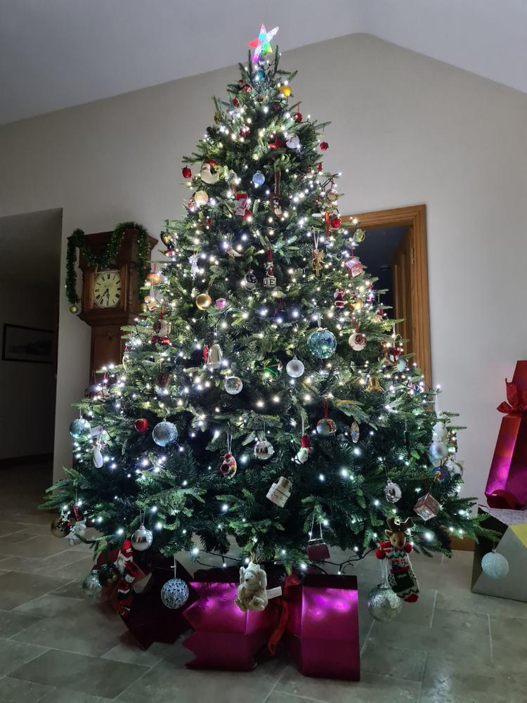 Everlands Freiburg Pine Tree 7ft / 210cm - Customer Photo From Claire Campbell